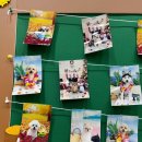 인생개컷 이미지