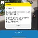 상우(아) | 불꽃야구 vs 동국대 직관후기