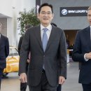 황금알 이미지