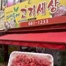 자연속에 고기세상 이미지