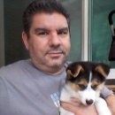 장태산 산그림펜션 이미지