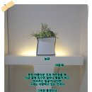 놀담 - 양평군 중미산로 871-6 | 놀담