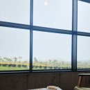 [공지] 제주도 뚜벅이 혼자 3박 4일 버스투어 동부코스1 (보롬왓 녹차족욕체험 성산일출봉 비자림 함덕...