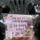 앵콜 | 2026 최립우 앵콜 팬미팅 후기