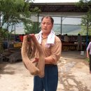 신곡목장 이미지