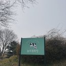 경사목장 | 농도원목장 2년 만에 재방문 후기｜벚꽃 시즌 + 5살 아이랑 체험 후기