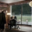 못된강아지 이미지