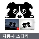 프리티도그