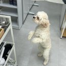 성지동물병원 이미지