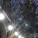 포항일등구이 이미지