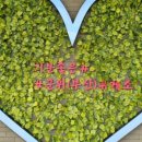 충주LPG충전소 이미지