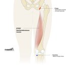 CM Fitness 이미지