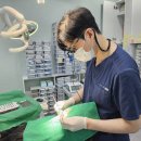 내원백운 이미지