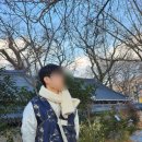 씨유전주한옥태조로점 | 전주 한옥마을 한복대여 가격 안내 태조로39 포토존 추천