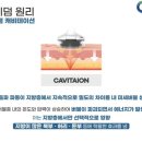 리아에스테틱
