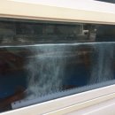 온니산오징어 이미지