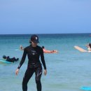 소낭 게스트하우스 | [소낭게스트하우스] 제주도 동쪽 아침 비밀의 숲 스냅사진 투어, 야간 스냅이 있는 조용하고 가성비...