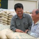 합천농협 대양지점 이미지