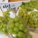 상주시 조합공동사업법인 이미지