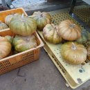 유미농장 이미지