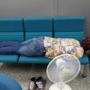 산들 강아지 이미지