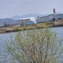 송평로-1 이미지