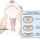 울산동물병원 이미지