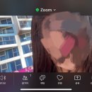 영어 | 민트영어 화상영어 후기 (1)