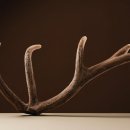 광생한의원 이미지