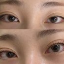 대전 탄방동 속눈썹펌 솔브로우 후기