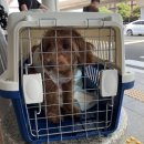 고기굽는정원 이미지