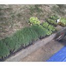 벽산아파트 노인정 이미지