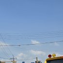 용인대 석사 대호태권도 이미지