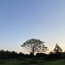 동백펜션 이미지