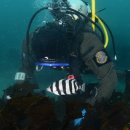 대진수산 이미지