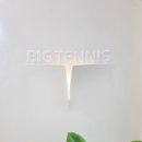 빅테니스