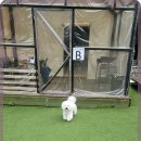 힐포인트 이미지