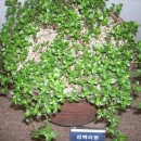 동의중학교 이미지