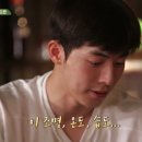 베비아모