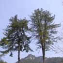 팔호광장 - 강원사대부고삼거리 | &lt;100대 명산&gt;춘천 오봉산-부용산 산행기...강원도 춘천시,화천군(779m,882m)