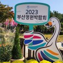 ^^급^^ 번개 2023 부산 정원박람회 이미지