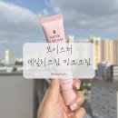 [제품 후기] 피부 트러블, 피부 예민한 타입 크림 추천! &#34;굿바이 콤플렉스 밍크 크림&#34;