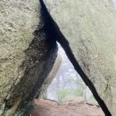 스페셜치과의원 이미지