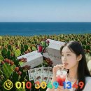 세종특별자치시광역치매센터 | 혹시 나도? 놓치지 말아야 할 치매 초기 증상과 자가 진단법