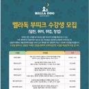 벨라독 네이버블로그