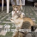 신반포로43길 11-15 | [맛일기] 하우스오브신세계 맛집 김수사 신세계 강남점 주말 디너 웨이팅 후기🍣