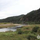 섬바위오토캠핑장 이미지