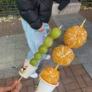 쏨밍 이미지