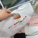7월 첫째주 주간일기｜사랑하는 아가 구름이를 위한 기록✍🏻