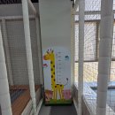 한마음공원 | 동탄 한마음 정육식당 동탄호수공원점 후기｜두돌 아기랑 놀이방이 있는 식당, 주차, 내돈내산